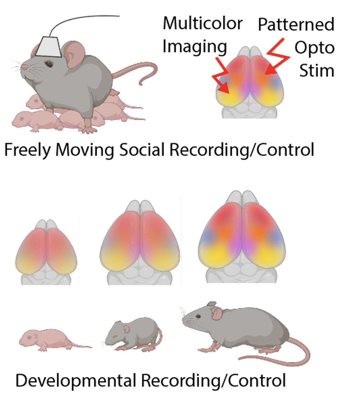 freeMoving