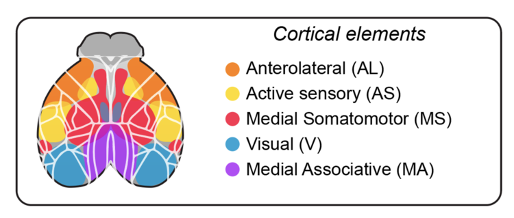 directional elements